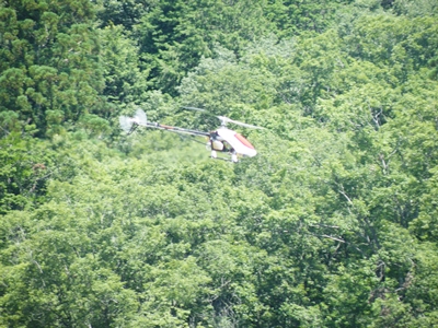 jet-heli.JPG