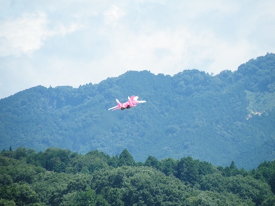 jet-mig.JPG
