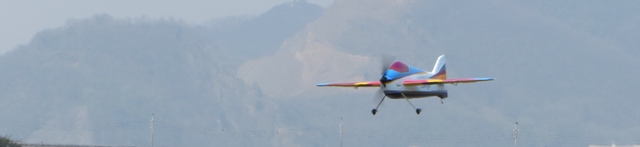 sanwacup_f3a2013_004.JPG